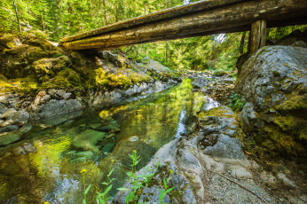 Картинка природа реки озера мостик река лес