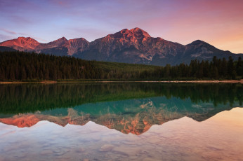 Картинка природа реки озера озеро патриция горы вода лес пирамидная гора национальный парк джаспер канада отражение