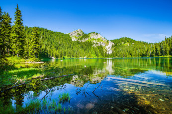 Картинка природа реки озера река горы лес