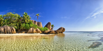 Картинка природа тропики пляж море солнышко песок пальмы