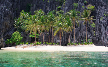 Картинка природа тропики пляж море пальмы песок солнышко