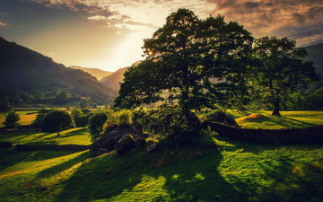 Картинка природа восходы закаты лето зелень дерево солнце британия