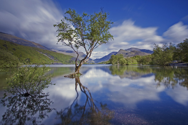 Обои картинки фото природа, реки, озера, сноудония, северный, уэльс, англия, национальный, парк, горы, озеро, дерево