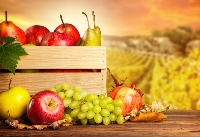 Обои картинки фото еда, фрукты,  ягоды, груша, тыква, ящик, листья, орехи, виноград, грибы