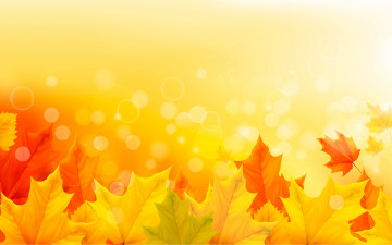 обоя векторная графика, природа , nature, autumn, leaves, maple, листья, осенние, фон