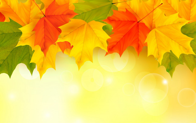 Обои картинки фото векторная графика, природа , nature, autumn, leaves, maple, листья, осенние, фон