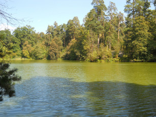 Картинка пуща-водица природа реки озера озеро горащиха киев