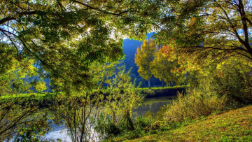 Картинка природа реки озера река осень деревья