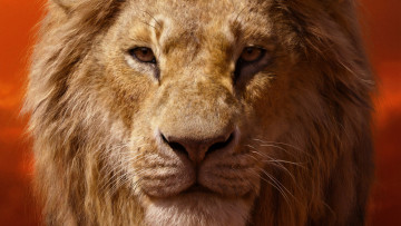 обоя кино фильмы, the lion king , 2019, зверь