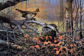 Картинка autumn ivy рисованные don kloetzke птица осень