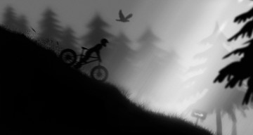 Картинка ночной гонщик рисованные другое лес черно-белое велосипед