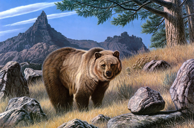 Обои картинки фото grizzly, country, рисованные, paul, krapf, гризли, медведь