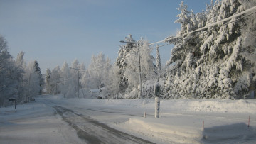 Картинка природа дороги лес снег