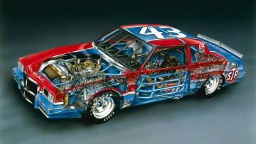 Картинка 1982-richard-petty-no-43-pontiac-grand-prix автомобили рентген pontiac