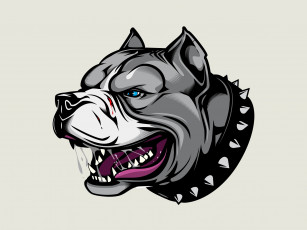 Картинка рисованное минимализм арт злой пес angry dog ошейник с шипами питбуль аватарка pitbull