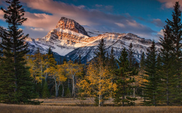 Картинка природа горы осень осенняя ели канада альберта снежные вершины синева деревья снег облака небо лес