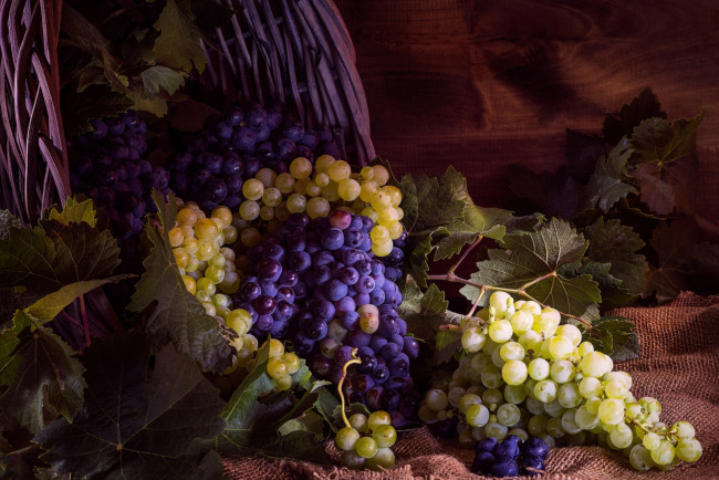 Обои картинки фото еда, виноград, гроздья