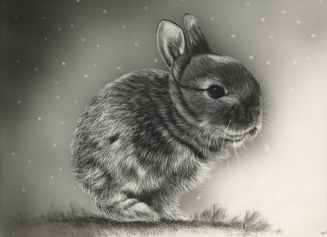 Обои картинки фото рисованное, животные,  зайцы,  кролики, фон, кролик