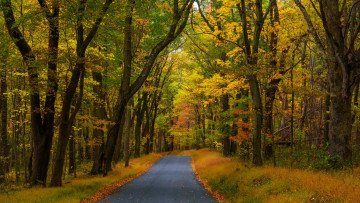 Картинка pennsylvania природа дороги