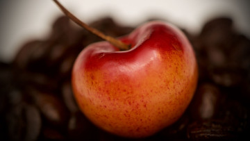 Картинка вишня еда +черешня ягода фон