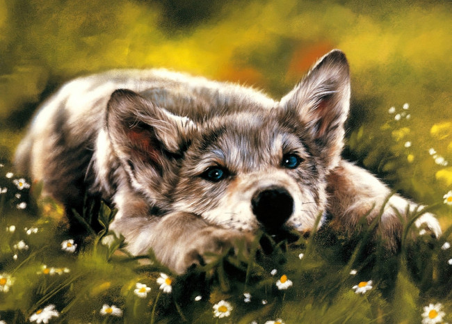 Обои картинки фото рисованное, lesley harrison, щенок, трава
