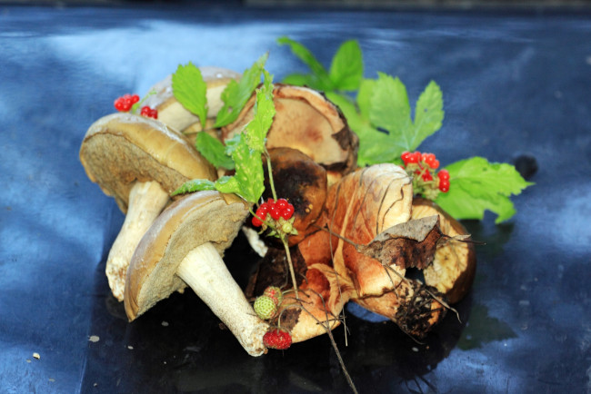 Обои картинки фото еда, грибы, грибные, блюда, ягоды