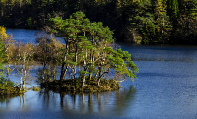 Обои картинки фото природа, реки, озера, лес, река, островок, сосны