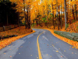 Картинка природа дороги лес осень листья walk colors деревья colorful leaves trees park forest nature fall autumn path road парк