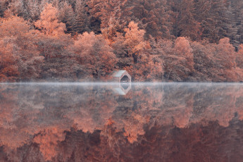 Картинка природа реки озера деревья озеро лес отражение склон