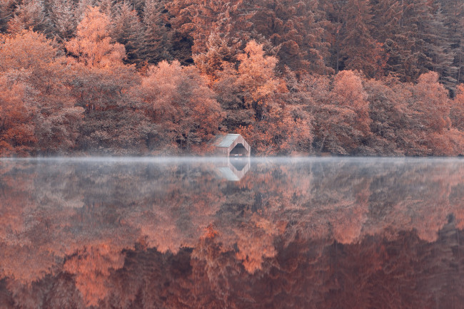 Обои картинки фото природа, реки, озера, деревья, озеро, лес, отражение, склон