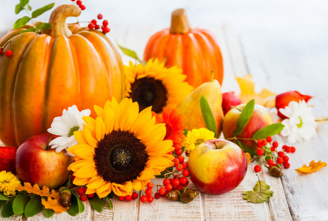 Обои картинки фото еда, фрукты и овощи вместе, осень, листья, ягоды, желуди, урожай, яблоки, фрукты, подсолнухи, тыква, груши, sunflower, pumpkin, harvest, autumn