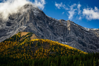 Картинка природа горы облака лес гора