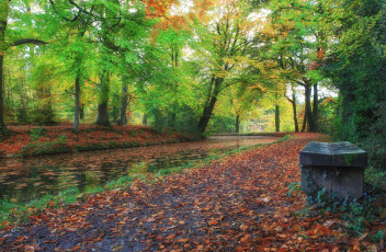 Картинка природа реки озера лес канал осень