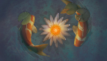 Картинка рисованное животные +рыбы карпы кои пруд водяная лилия
