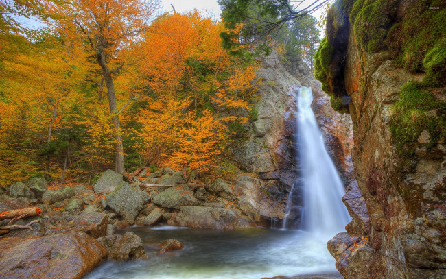 Обои картинки фото природа, водопады, лес, осень, поток