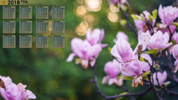 Картинка календари цветы лепестки 2018