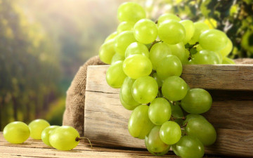 Картинка еда виноград гроздь