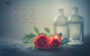 обоя календари, цветы, роза, бутыль, 2018