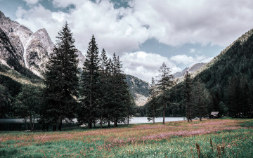 Картинка природа пейзажи озеро облака луг деревья горы