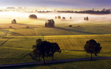 Картинка природа поля туман панорама
