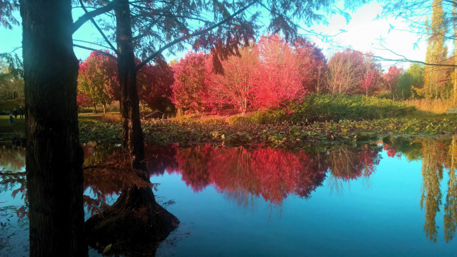 Обои картинки фото природа, реки, озера, осень, река, вода