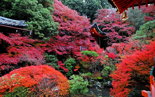 Обои картинки фото природа, парк, садик, японский