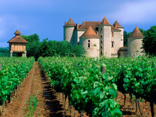 Картинка vineyard cahors lot valley france города