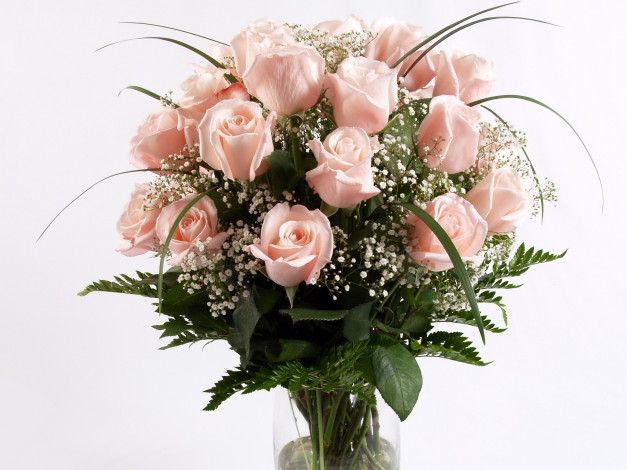 Обои картинки фото цветы, букеты, композиции, ваза, розы, гипсофила