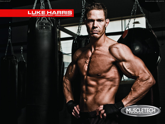 Обои картинки фото muscletech, бренды, luke, harris