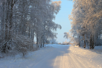 Картинка природа зима снег дорога деревья