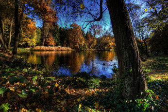 Картинка ujazdоw+park+варшава природа реки озера парк озеро лес