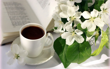 обоя еда, кофе,  кофейные зёрна, стихи, книга, цветы, ветка, чашка