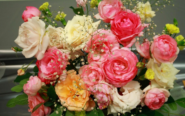 Обои картинки фото цветы, розы, букет, gypsophila