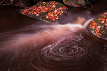 Картинка природа реки озера водоворот листья осень